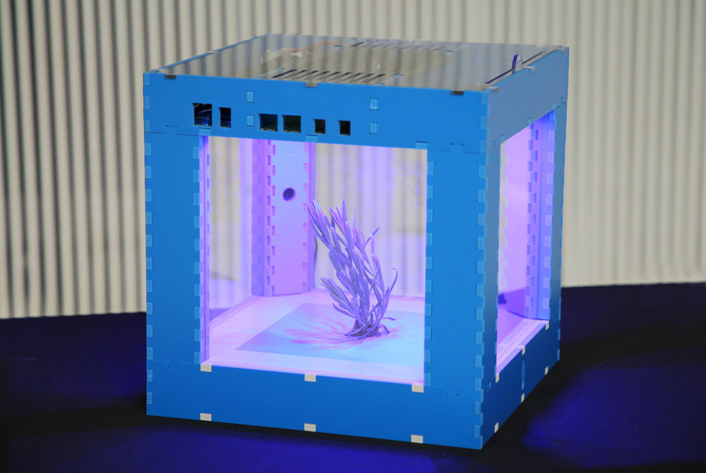 A blue cube with windows on all sides and a purple light shining on a plant.