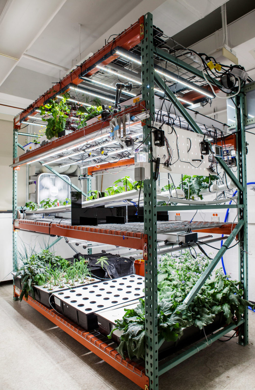 Vertical farming shelves with lights, plants, fans, and electric cords.