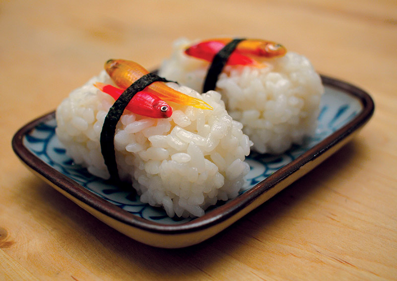 A small plate with sushi made from glowing trangenic zebrafish.