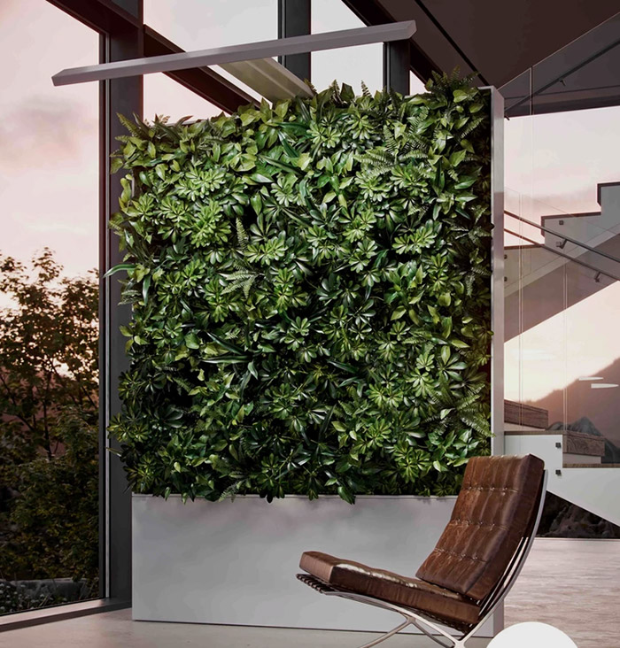 A green wall of plants designed by Zauben photographed in a modern interior space.