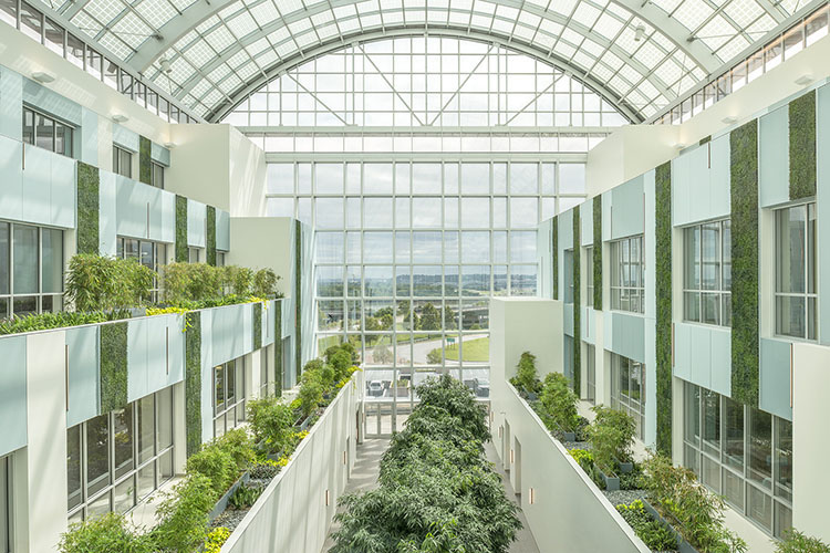 A photograph of a tree and plant lined atrium.